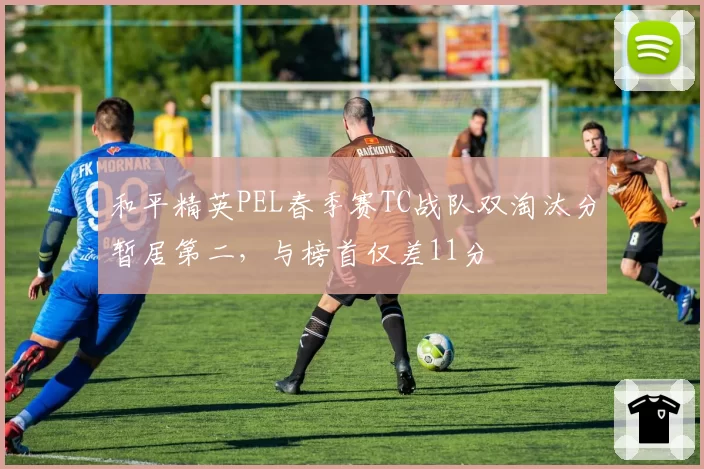 和平精英PEL春季赛TC战队双淘汰分暂居第二,与榜首仅差11分