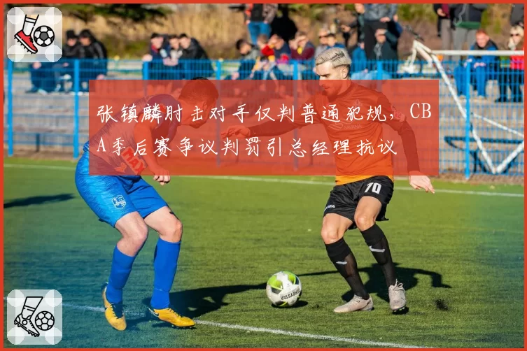 张镇麟肘击对手仅判普通犯规，CBA季后赛争议判罚引总经理抗议