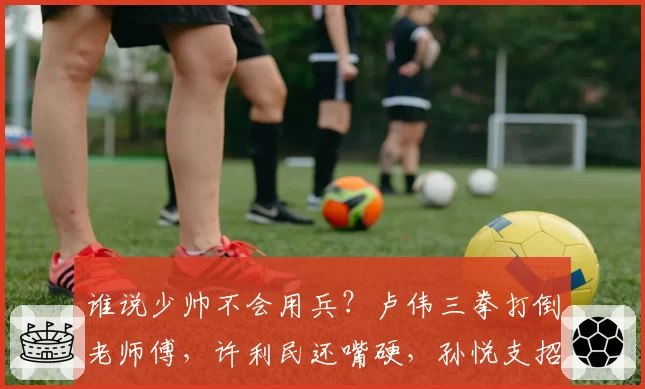 谁说少帅不会用兵？卢伟三拳打倒老师傅，许利民还嘴硬，孙悦支招